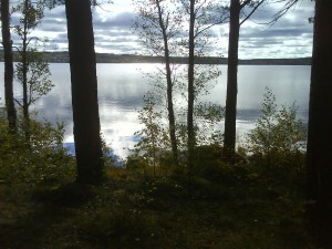 hösten 07 042