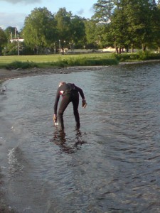 Badplatsrensning 9 juni (7)