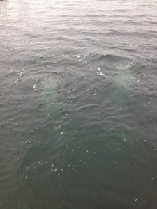 20130218-234744.jpg